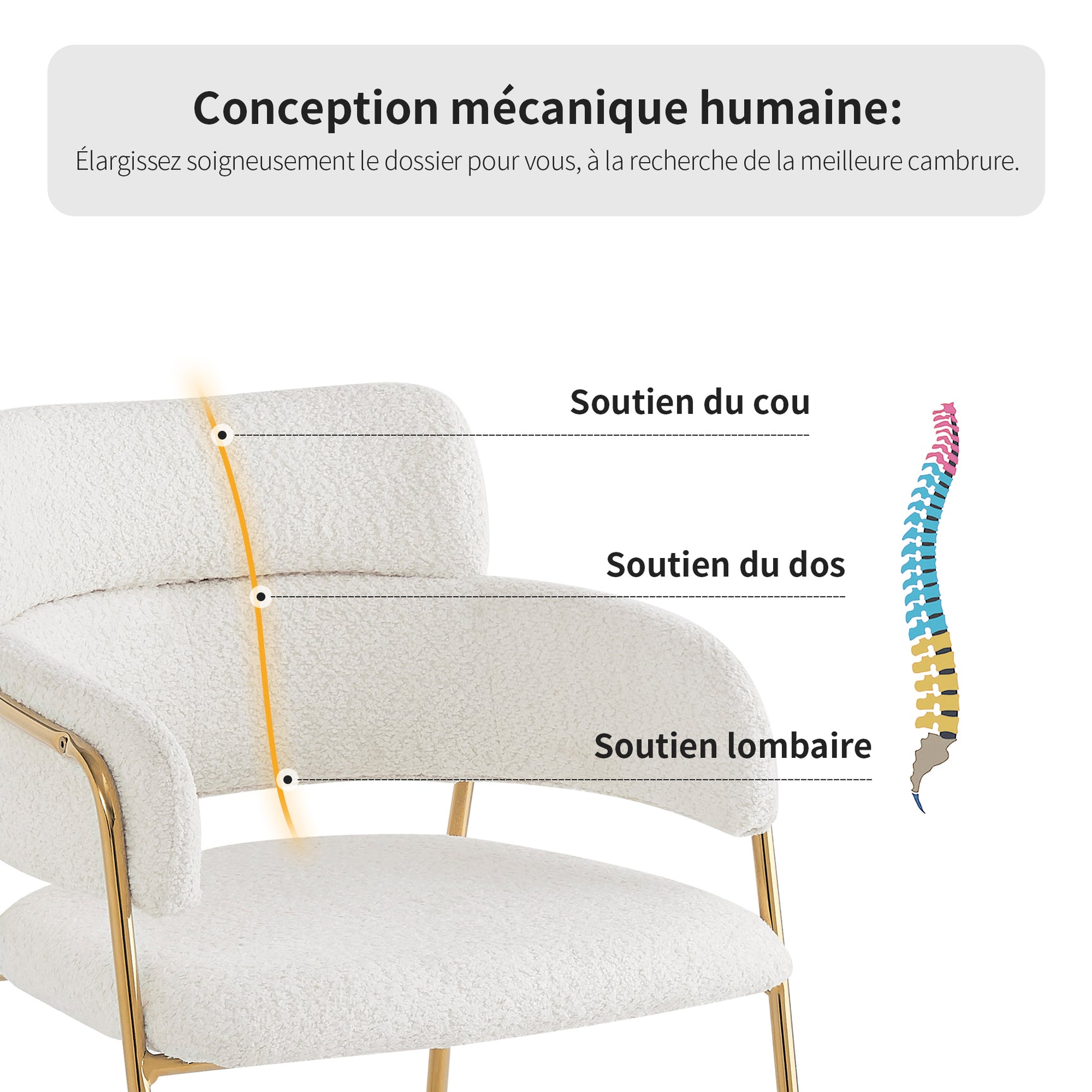 Lot de 6 chaises de salle à manger beiges avec pieds dorés, style moderne